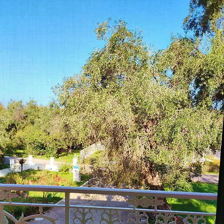 Διαμέρισμα Mariana's Corfu *