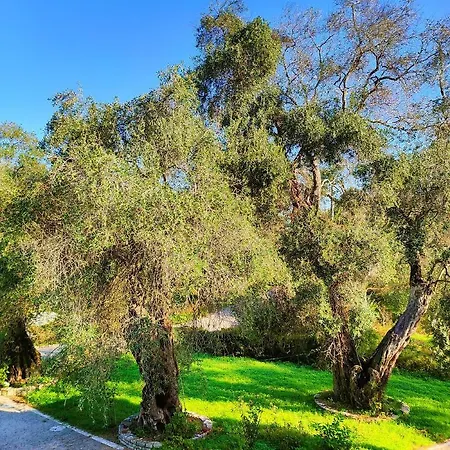 Mariana's Corfu * Λευκίμμη